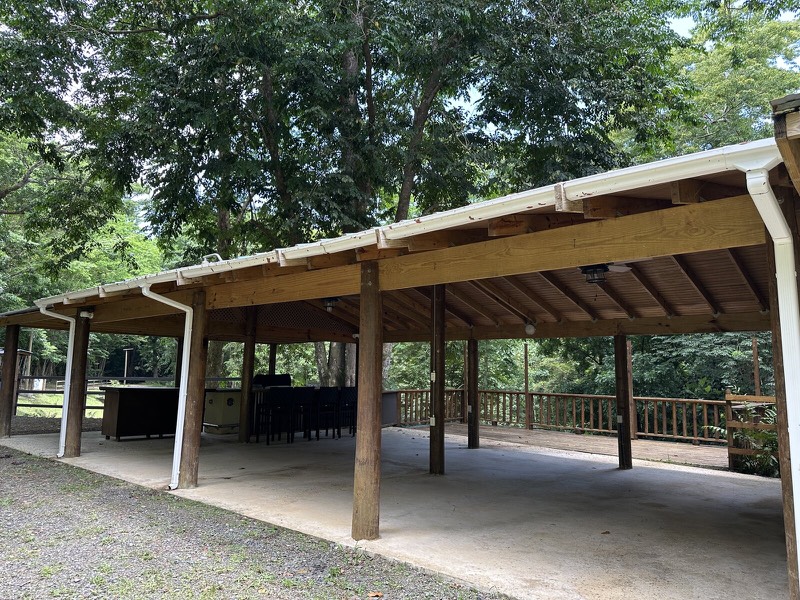 Batey Zumbador, an open-air timber events pavilion with a bar, rainforest behind